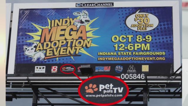More than 1,000 pets available at Mega Adoption this weekend ...