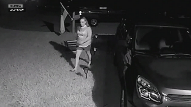 Suspect caught on camera stealing lawn equipment, decorations from ...