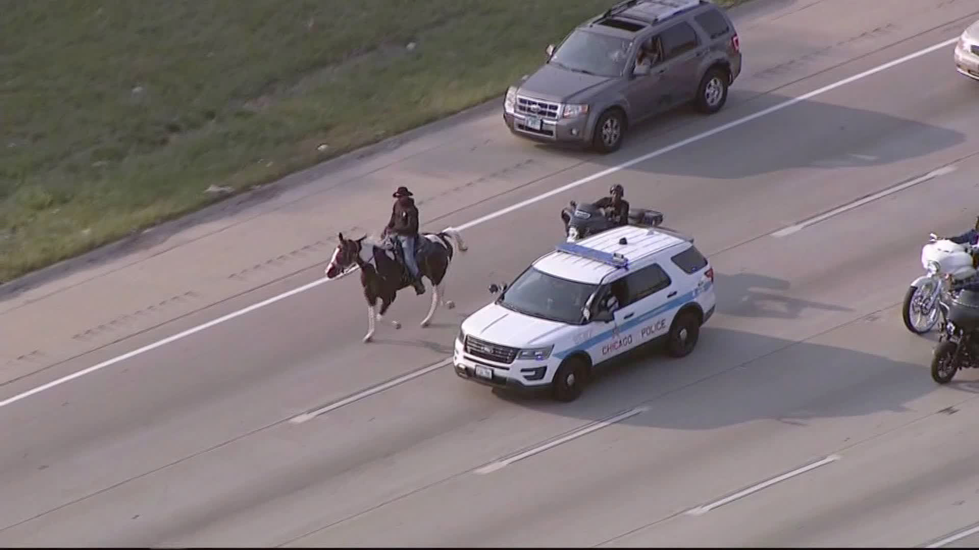 'Dreadhead Cowboy' arrested for riding horse on Chicago's Dan Ryan ...