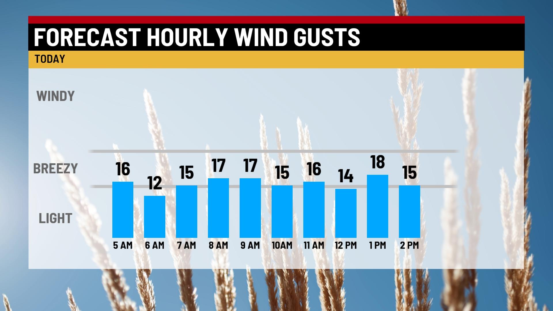 Cool and breezy Sunday - Indianapolis News | Indiana Weather | Indiana ...