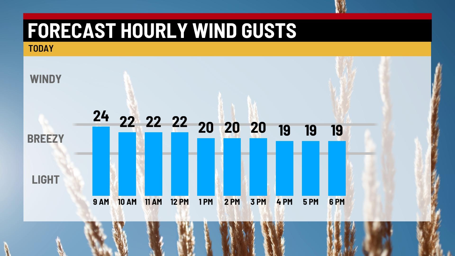 Sunny and breezy Sunday - Indianapolis News | Indiana Weather | Indiana ...