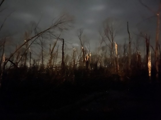 Indiana storms kill 5; leave severe damage across the state ...