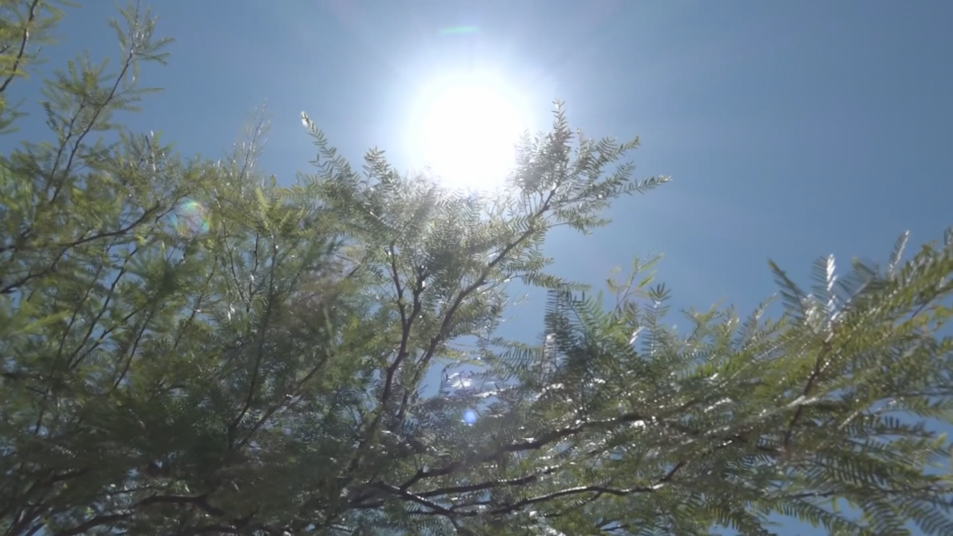 Stay safe in extreme heat: Tips to prevent heat illness, symptoms to watch out for
