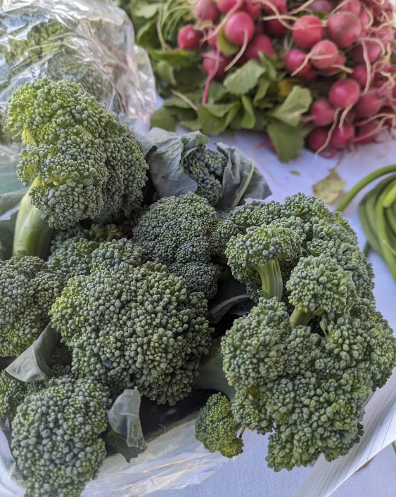Stobs Farm Indiana Grown: Stobo Farm - Indianapolis News | Indiana Weather ...