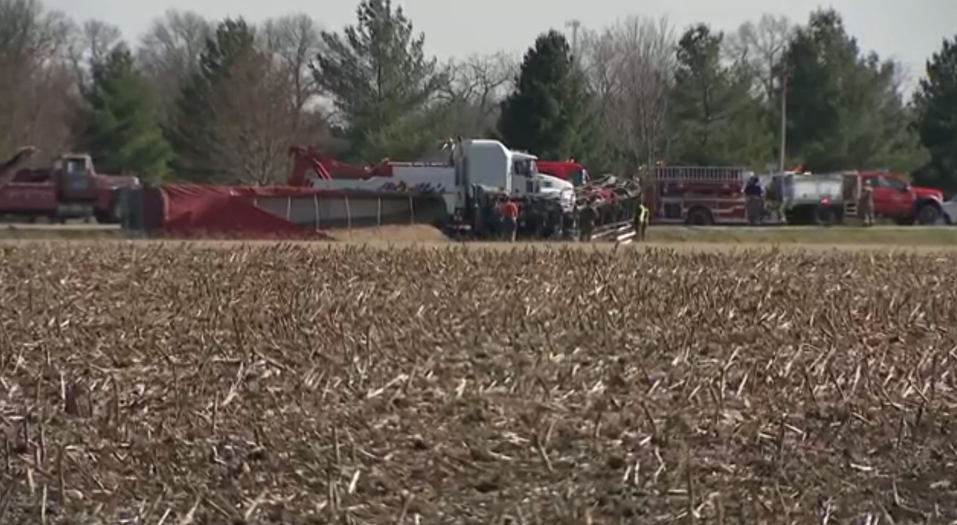 3 children and 2 adults die after school bus collides with semi in ...