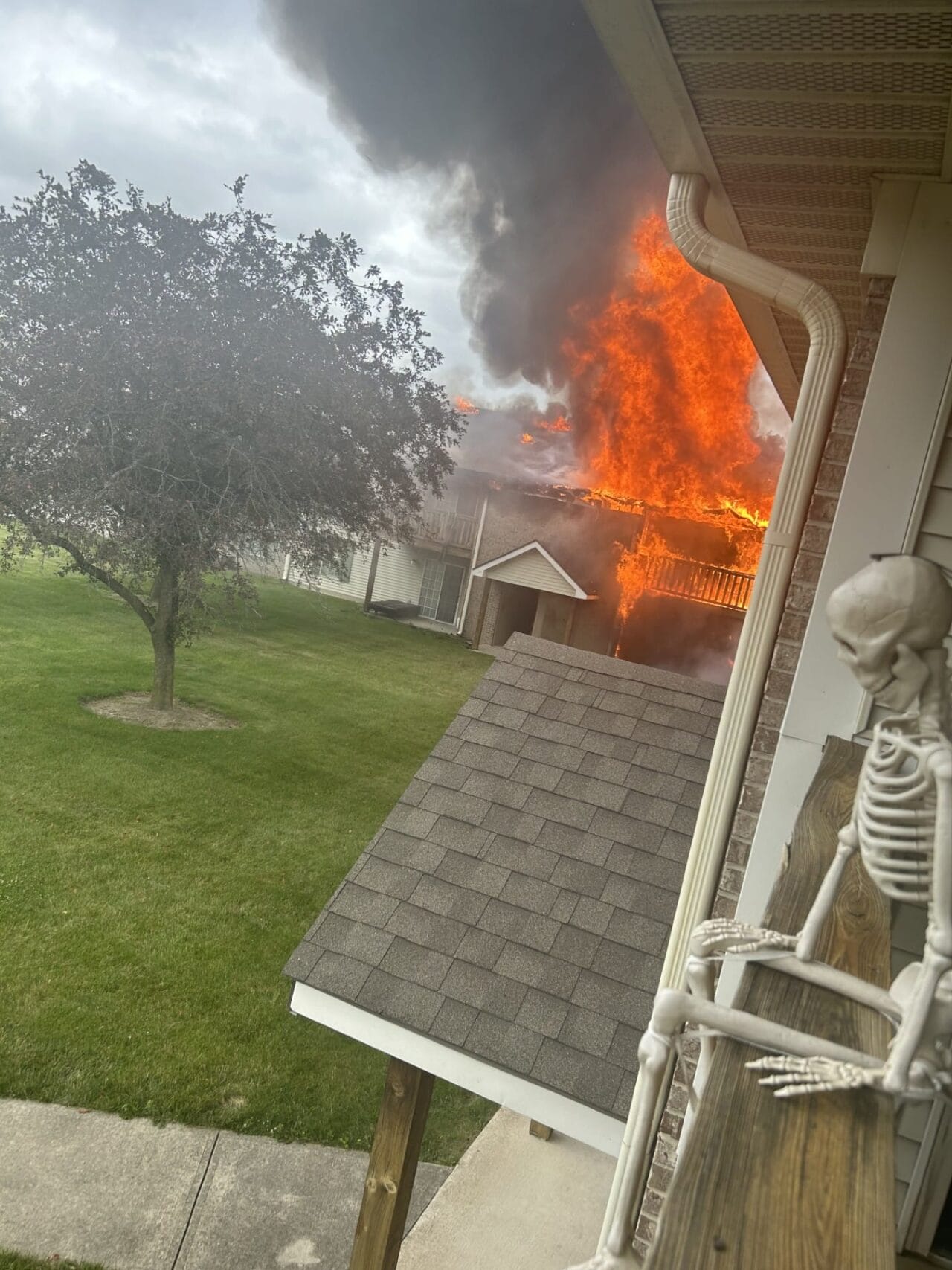 Severe fire destroys 8 apartments, injures 3 cats at Anderson apartment ...