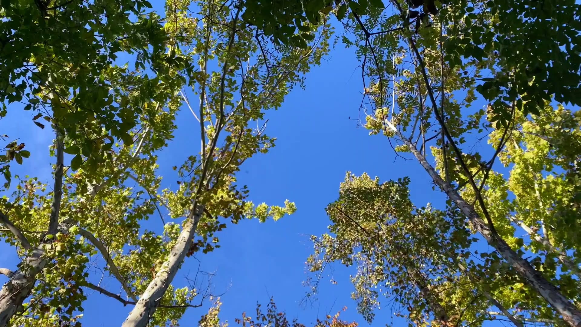 Drought concerns loom as Indiana faces hot, dry weather - Indianapolis ...