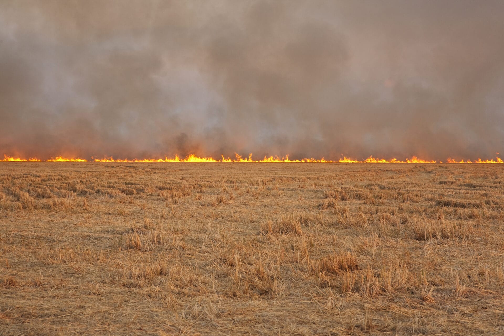 High fire risk in Indiana due to dry conditions and winds ...
