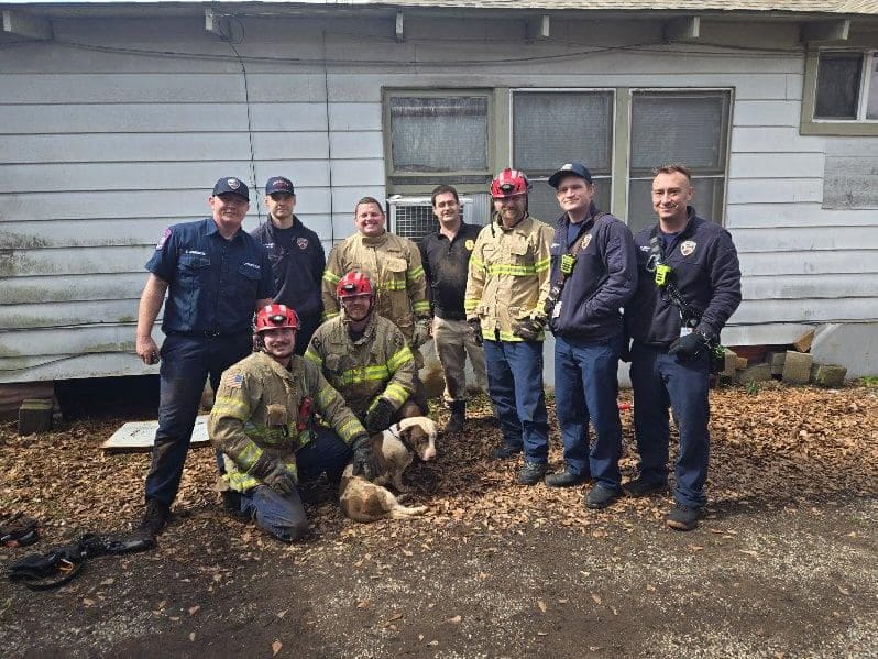 'Timmy's stuck in the well!': Dog rescued after found trapped in well ...