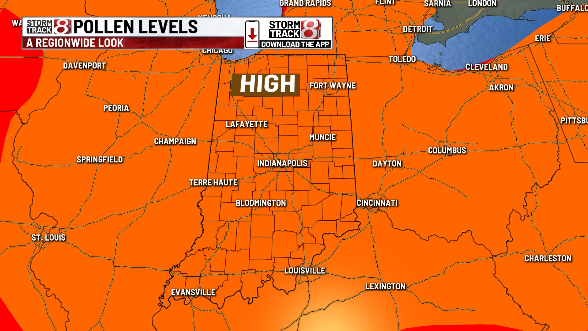 Indiana Ragweed Rising ragweed pollen levels worsen fall allergies - Indianapolis News ...