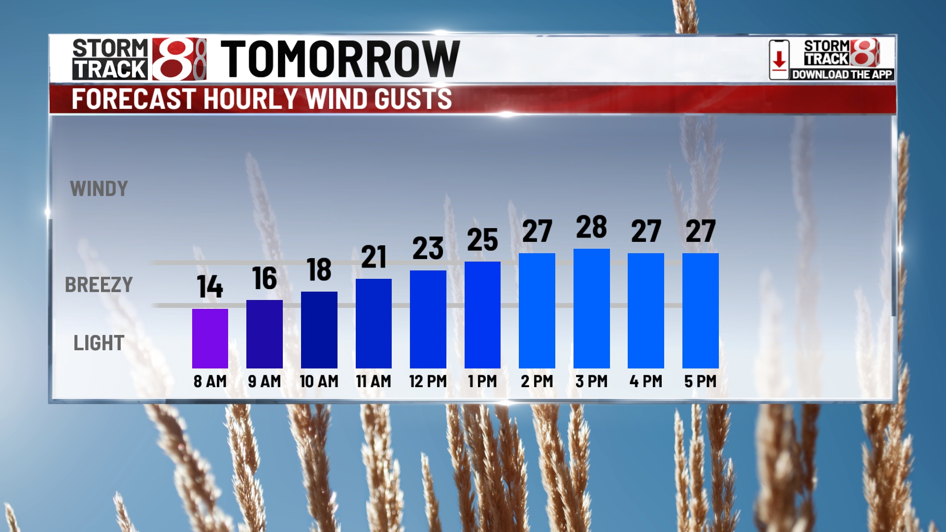 Windy and wet weekend forecast: Heavy rain and potential for strong ...